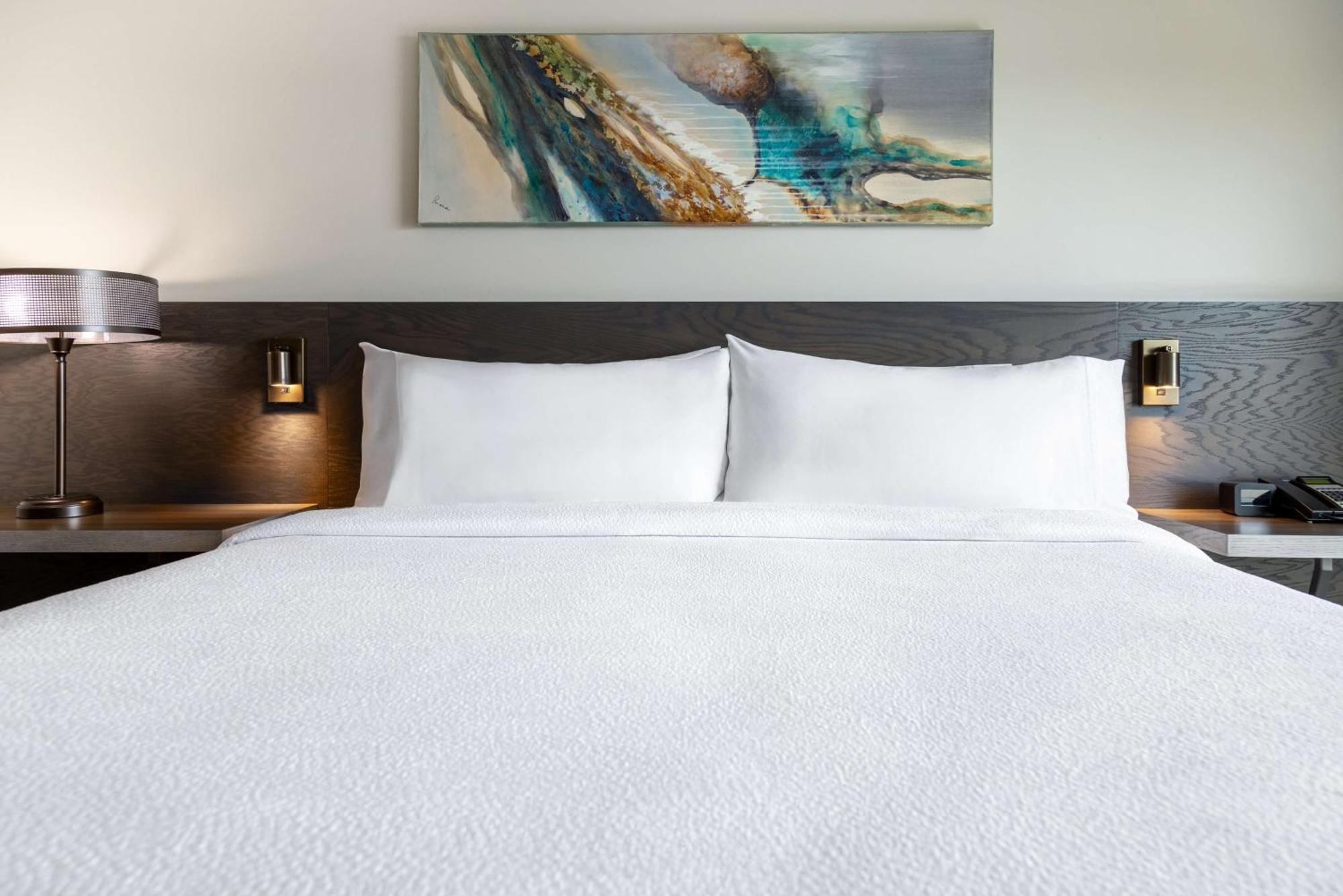 Hilton Garden Inn Fredericton Eksteriør bilde